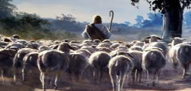 29Meu Pai, que me deu estas ovelhas, é maior que todos, e ninguém pode arrebatá-las da mão do Pai. 30Eu e o Pai somos um”. Jo 10, 29 -30